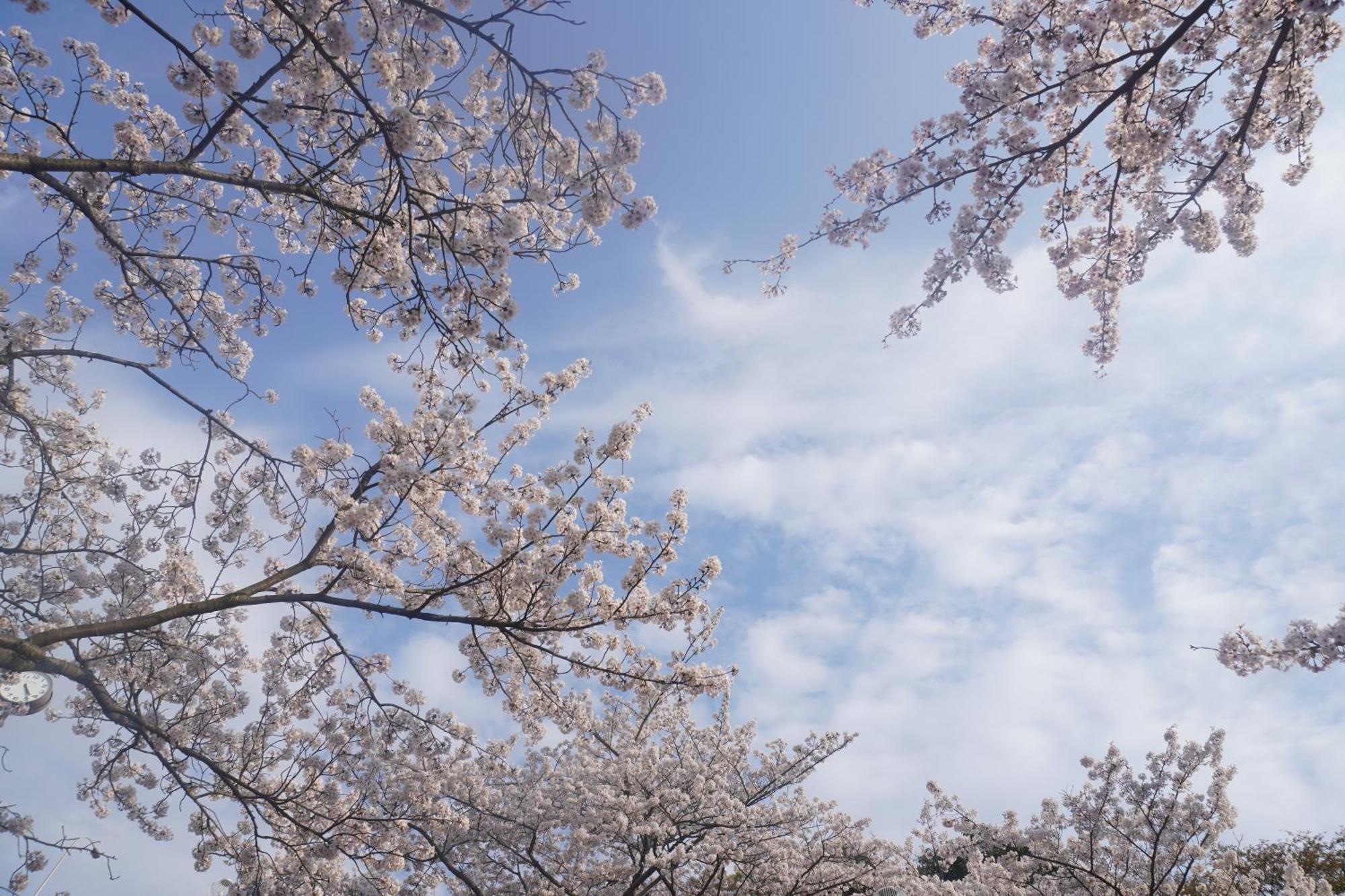 Japanese House Osaka Sennan 大阪泉南酒店和築 Apartment Tannowa